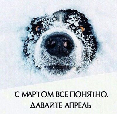 234234211.jpg