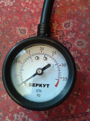 беркут1.jpg