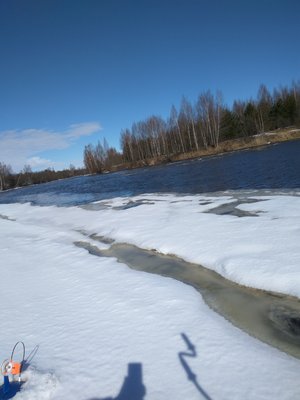 IMG_20170329_110707.jpg