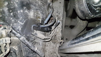 20170403_203110.jpg