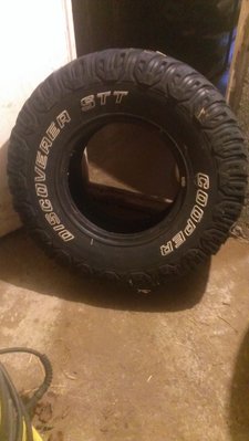 IMAG0668.jpg