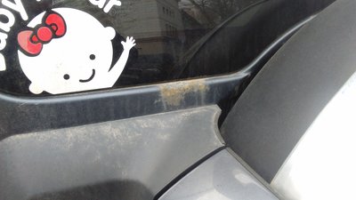 IMG_20170406_084037.jpg