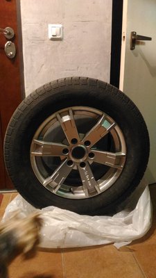 IMG-20170313-WA0001.jpeg
