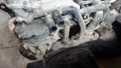 20170407_105020.jpg