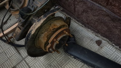 20170408_114410.jpg