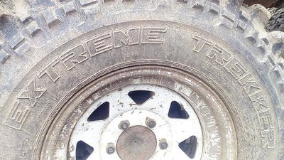 IMG_20170413_142648.jpg