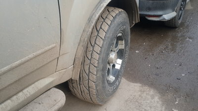 20170407_071935.jpg