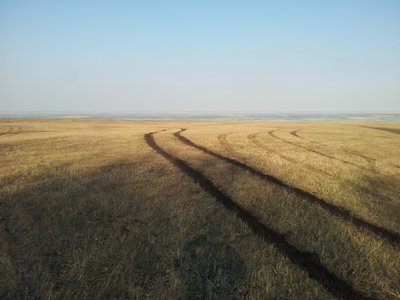 2017-04-12 17.27.11.jpg