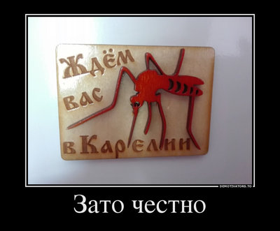 7925247_zato-chestno.jpg