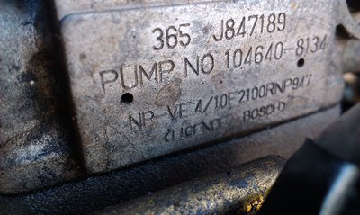 IMAG0554.jpg