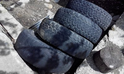 IMG_20170412_122916.jpg