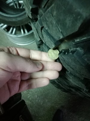 IMG_20170428_180959.jpg