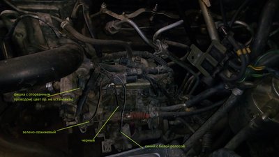 IMG_20170501_141929.jpg