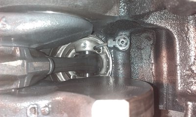 IMAG0718.jpg