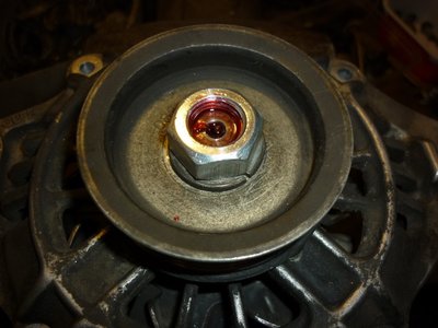 P1060025.jpg