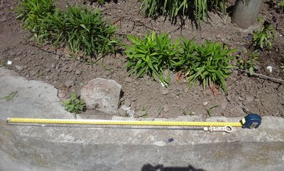 20170523_111500.jpg