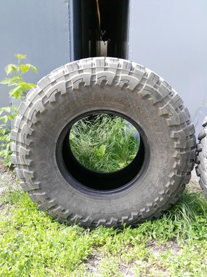 IMG_20170521_143429.jpg