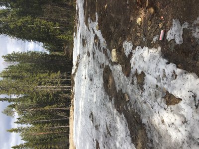 IMG_0053.JPG
