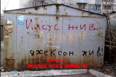 124.jpg