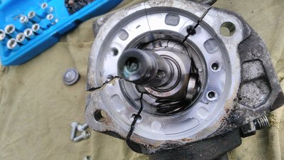 IMG_20170528_185741.jpg