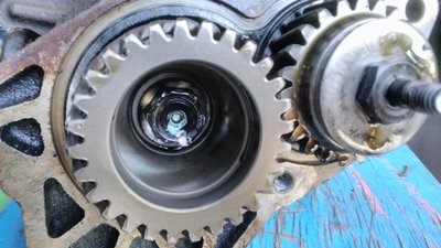 IMG_20170528_181130.jpg
