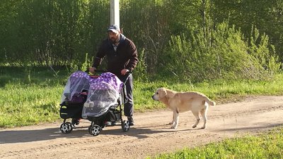 IMG_20170527_181354.jpg