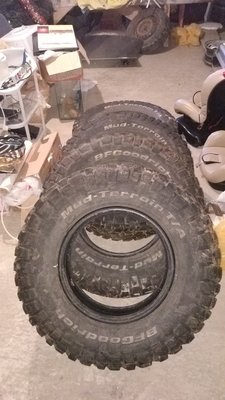 IMG_20170513_143647.jpg