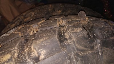 IMG_20170513_144128.jpg
