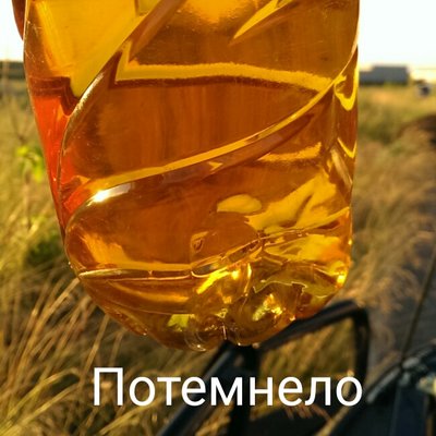 aviary-image-1467224745601.jpeg