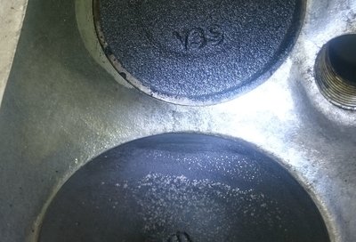 DSC_0207.JPG