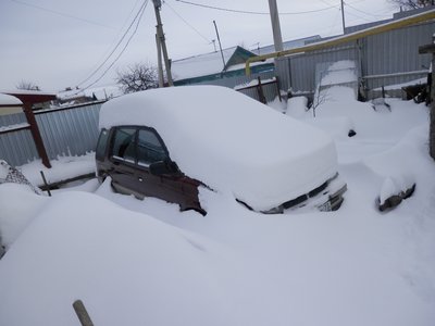 P2031350.JPG