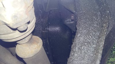 20170612_132148.jpg