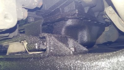 20170612_132318.jpg
