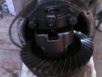 IMG00090.jpg