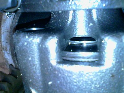 IMG00095.jpg