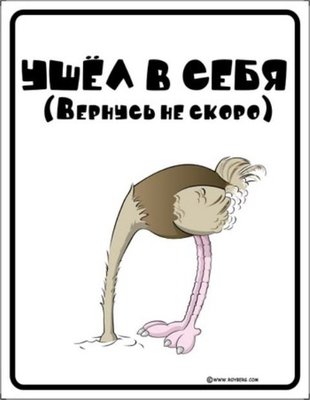1306925976_31.jpg