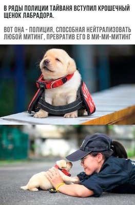 В свете последних событий. =)