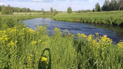 IMG-20170617-WA0004.jpg