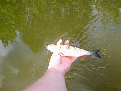 24062017210.jpg