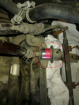 28052011023.jpg