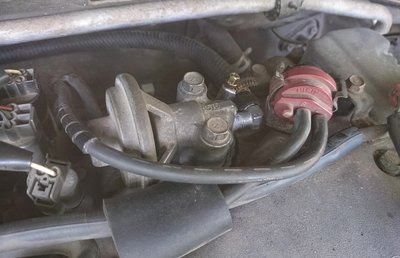 egr3.jpg
