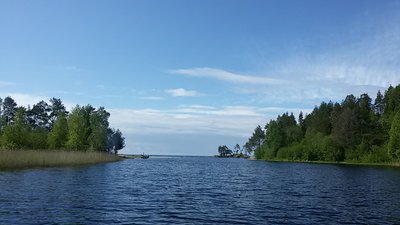 20170626_102600.jpg