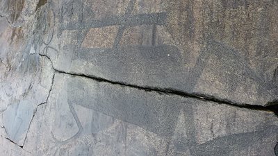 20170626_122249.jpg