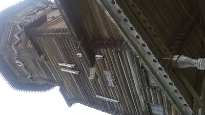 20170627_125035.jpg