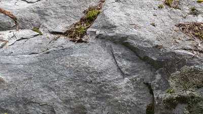 20170628_120313.jpg