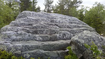 20170628_155622.jpg