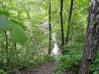 DSC07468.JPG