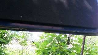 tmp-cam-734812624.jpg