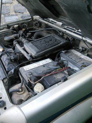 IMG_20170708_192936.jpg