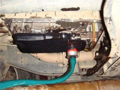 0a1bb316e889t.jpg